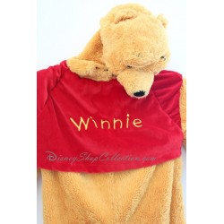 Disguise Winnie the Pooh DISNEYLAND PARIS child 5-6 years