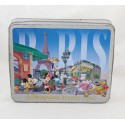 Disneyland PARIS Mickey Minnie Dingo Donald cookie box 26 cm scatola di ferro
