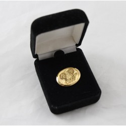 Pin's collector An 2000 DISNEYLAND PARIS Cast Golden Oval Member 2 cm
