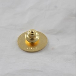 Pin Sammler Ein 2000 DISNEYLAND PARIS Gegossen Golden Oval Mitglied 2 cm