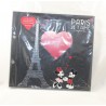 Fotoalbum DISNEYLAND PARIS Meine Liebe Mickey Minnie Paris Ich liebe dich