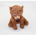 Orso Koda orso DISNEY STORE Fratello dell'orso bruno riccio 14 cm