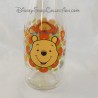 DISNEY Glass Water Bottle Winnie the Pooh and Orange Tigger 34 cm