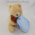 Plüsch Winnie The Pooh DISNEY STORE Abdeckung blau Teddybär braun