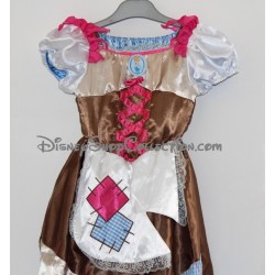 Disguise dress Cinderella DISNEY princess dress 