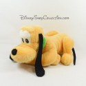 Peluche chien Pluto DISNEY allongé Mickey et ses amis collier vert 40 cm