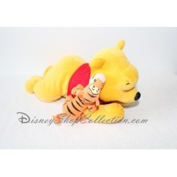 Winnie and Tigger Plush DISNEY APPLAUSE Winnie the Pooh Extended 26 cm