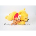 Winnie and Tigger Plush DISNEY APPLAUSE Winnie the Pooh Extended 26 cm