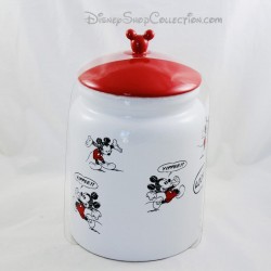 Mickey Mouse Disneyland Paris Cookie Box Lid Pot