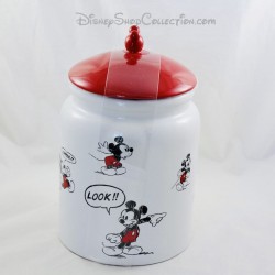 Mickey Mouse Disneyland Paris Cookie Box Deckel Topf