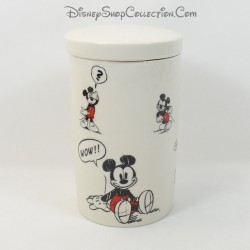 Tarro de especias Mickey Tarro DISNEYLAND PARIS BD tarro con tapa Galletas de cerámica Disney 17 cm