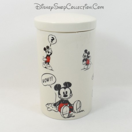 Spice pot Mickey DISNEYLAND PARIS BD olla con tapa galletas cerámicas Disney 17 cm