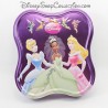 Metal box Princesses DISNEY Fairies Cinderella Aurore Tiana ... pink purple 30 cm 15 cm