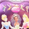 Boîte métallique Princesses DISNEY Fairies Cendrillon Aurore Tiana ... violet rose 30 cm 15 cm