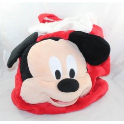 Large Christmas hood Mickey...