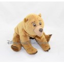 Kenai Bear Plush DISNEY Brother of the Bears Hasbro 2003 30 cm