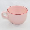 Bowl Minnie DISNEY pink style retro vintage red border 16 cm