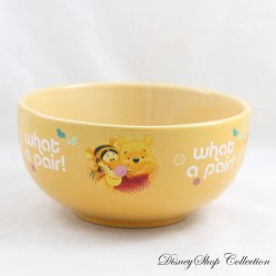 Winnie Puuh Bowl DISNEY Was für ein Paar! Winnie und Tigger Orange Keramik