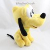Peluche Pluto DISNEYLAND PARIS chien de Mickey Mouse