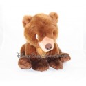 Teddy bear Koda DISNEYLAND PARIS brother bear 28 cm