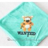 Flat blankie DISNEY square Tigger wanted for fun 20 cm