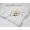 Doudou plat Winnie l'ourson DISNEY STORE Welcom to Pooh's World bords vichy