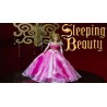 Beauty Aurora DISNEY MATTEL doll sleeping beauty Signature Collection