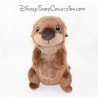 Plüsch NICOTOY Disney Dory 19 cm Welt Sea otter