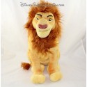 Lion Cub Mufasa DISNEYLAND PARIS König der Löwen 36 cm