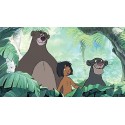 The jungle book