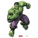 Hulk - Marvel Disney Superhero