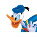 Donald Duck 